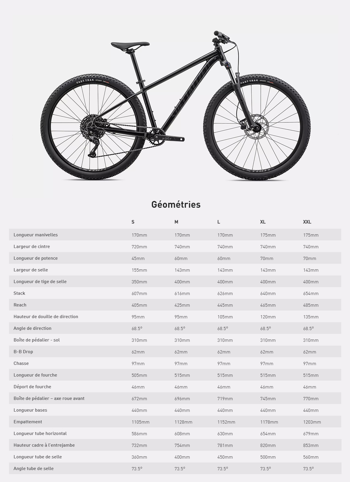 Guide de taille du vélo Rockhopper Comp 29 année 2023